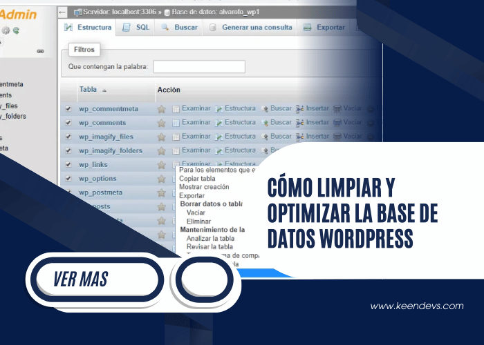 Cómo Limpiar y Optimizar la Base de Datos WordPress